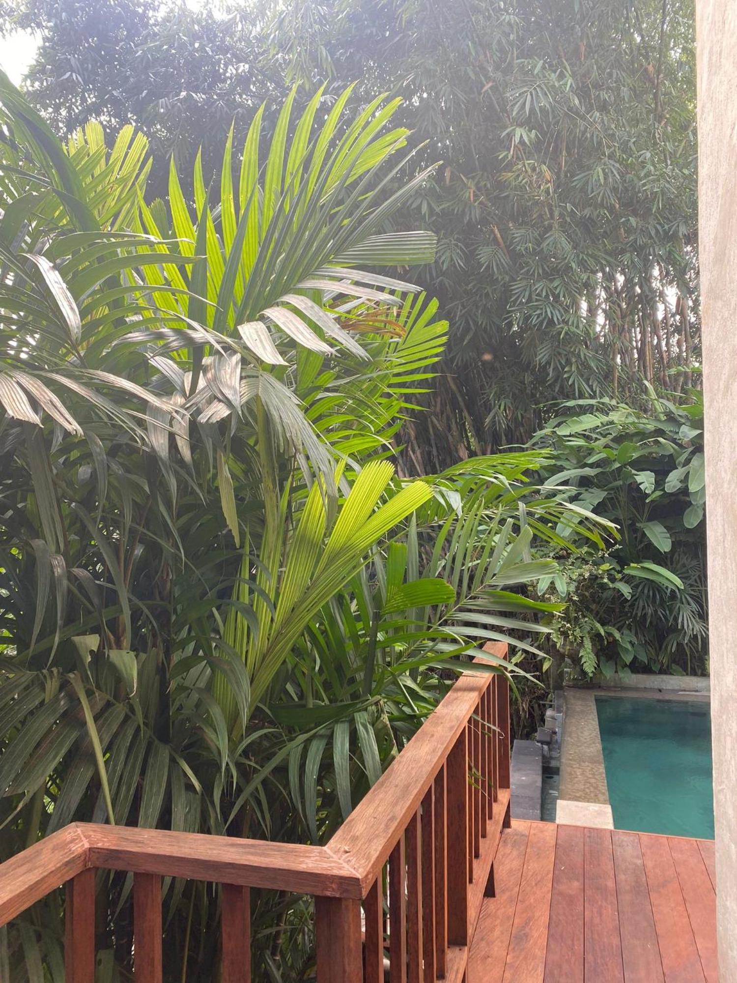 Villa Purnamasari Ubud  Ngoại thất bức ảnh